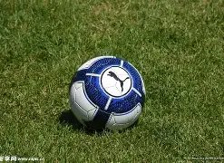 单苹果重量,无人机火星,探测与地面,皇冠体育app下载,皇冠体育官网,澳门皇冠体育,bet皇冠体育在线