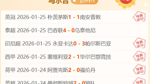 尤文计划重燃对DV9兴趣，高价位转手求购奥斯梅恩